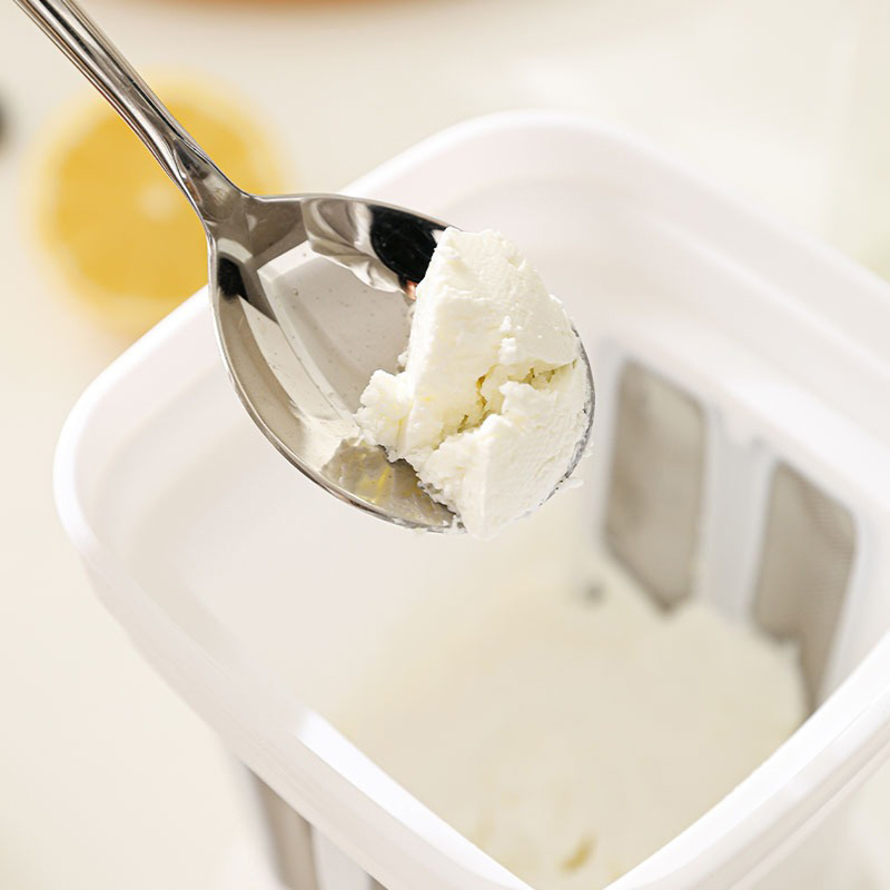 Filtro per Yogurt Domestico in - Health Wellness Gadgets recensione e prezzo